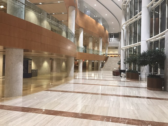 出国看病 2个月的生死抉择