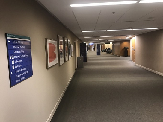 出国看病 2个月的生死抉择