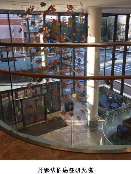 出国看病陪同日记