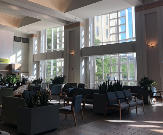 乳腺癌患者出国看病实录