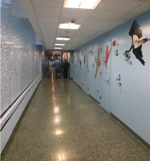 我陪患者美国看病全过程(一)