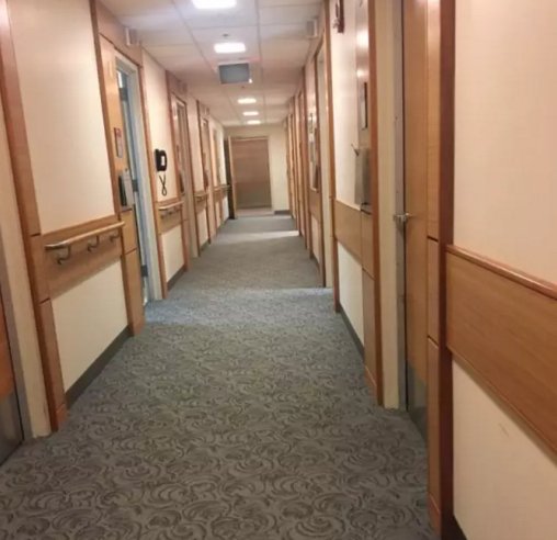 我陪患者美国看病全过程(一)