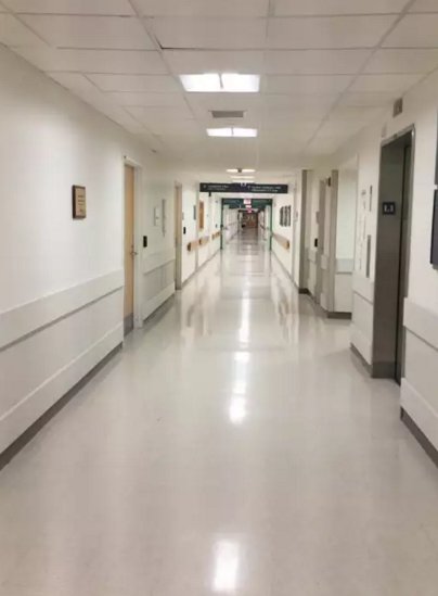 我陪患者美国看病全过程(一)