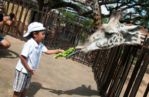 赴美就医之休斯顿旅游生活