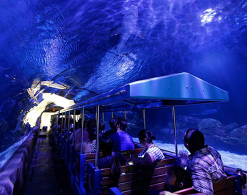 赴美就医之休斯顿旅游生活