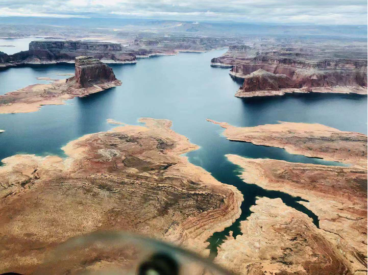 东北胰腺癌患者出国看病经历