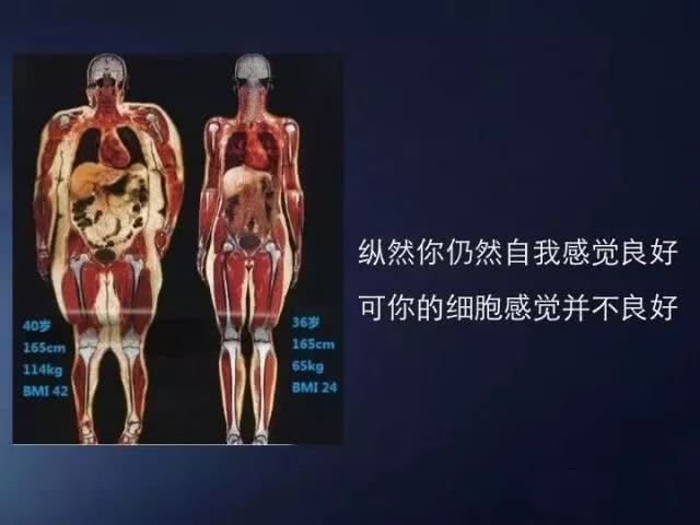 出国看病:减肥可能有助于降低癌症风险