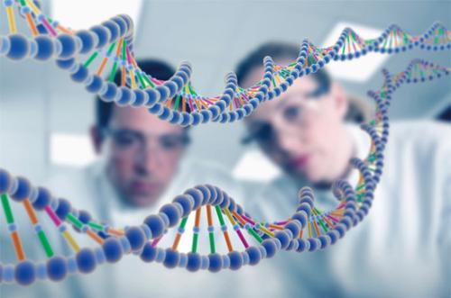 出国看病：化疗可能不会伤害未出生的婴儿