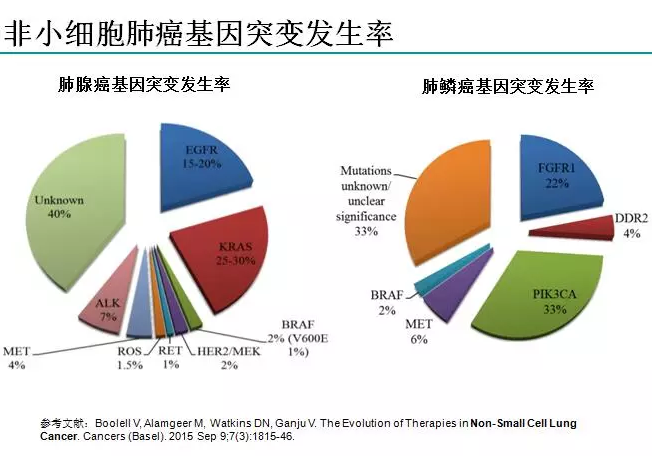 出国看病 美国治疗肺癌排名较好的医院