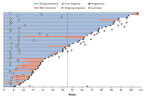 出国看病：联合免疫疗法治疗脑转移黑色素瘤