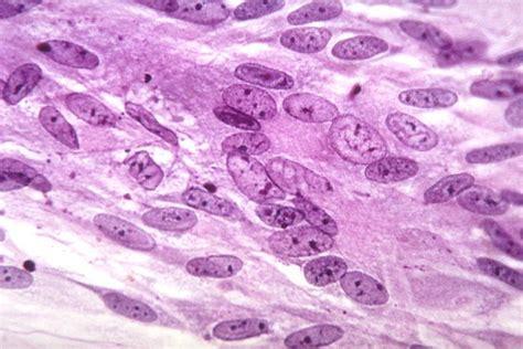 出国看病：美国父母故意让孩子感染水痘病毒以增强病毒的免疫力