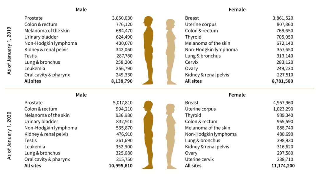 美国看病 到2030年，美国癌症幸存者预计将超过2200万