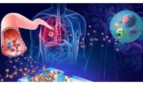 出国看病：艾惠健是肺癌的一线多基因联合检测产品，获得批准！