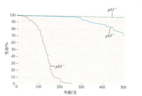 人类肿瘤中都存在tp53基因的突变