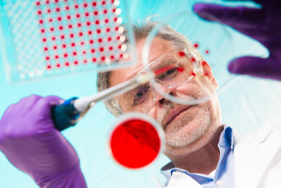 突变的p53干扰正常p53的功能