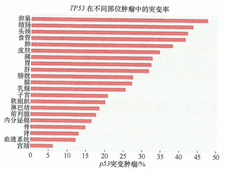 人类肿瘤中都存在tp53基因的突变