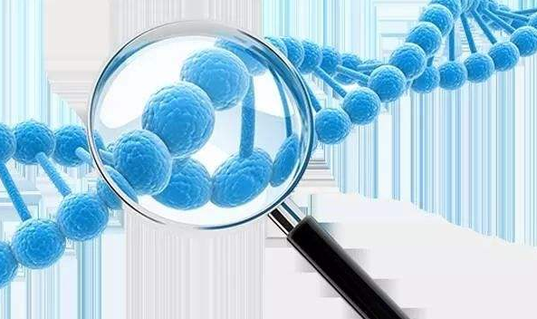 为什么DNA肿瘤病毒试图使p53失活？多组DNA肿瘤病毒使癌蛋白特异性失活pRb