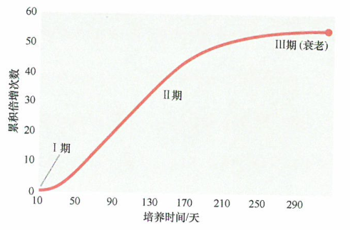 发育生物学家并未解决与肿瘤发展相关的重要问题