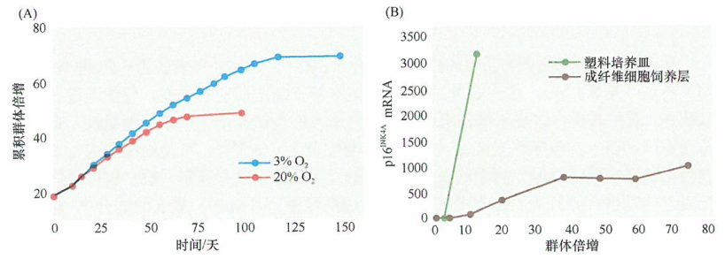 海外医疗 肿瘤体外培养可诱导CDK抑制​分子的表达