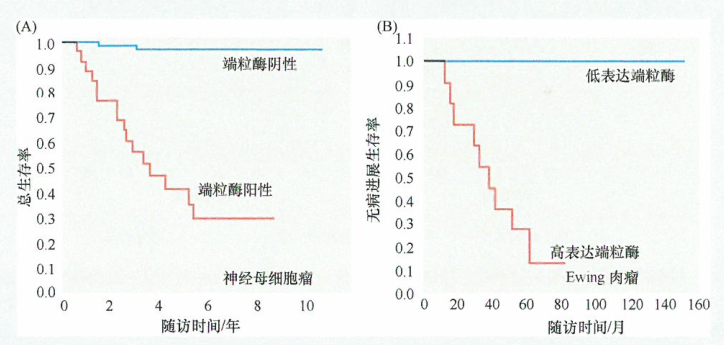 出国看病：端粒酶活性与儿童肿瘤预后的关系