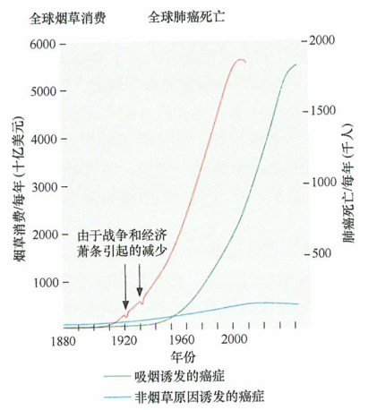 美国看病：烟草的消费与肺癌的关系