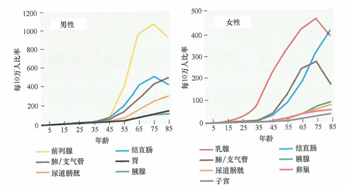 出国看病：不同年龄阶段的癌​症发病率