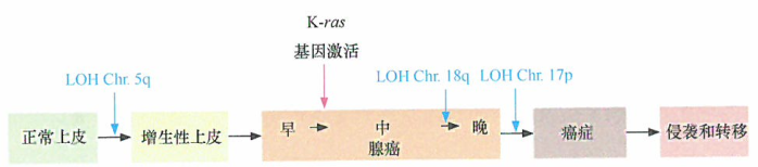 某些抑癌基因通过杂合件缺失机制而失活