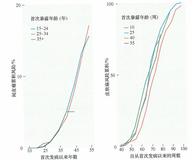 暴露于致癌物质的影响是增加致癌风险的一个因素