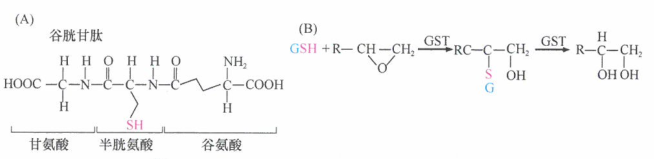 出国看病 机体抵抗物理致癌剂的方法是有限的