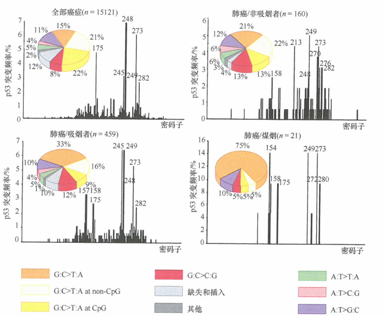 人类肿瘤细胞携带的P53等位基因中发现​诱变剂产生的点突变