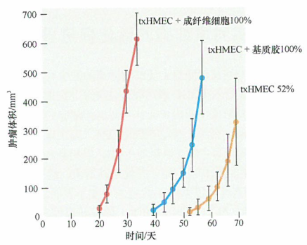 混合的成纤维细胞与肿瘤的生长