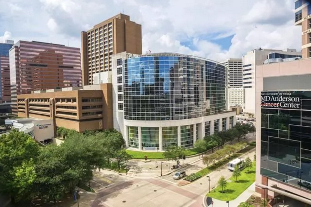 肿瘤化学治疗与有丝分裂灾难的研究