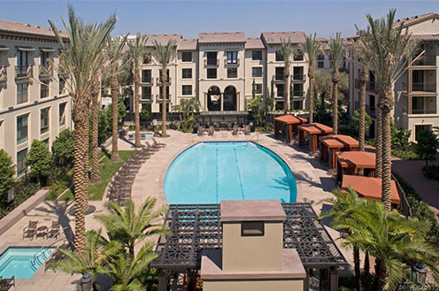 免疫系统和免疫细胞的研究