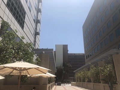 乳腺癌、非小细胞肺癌药物安体舒-氯氧喹 Chloroxoquinoline