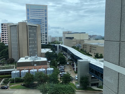 支持NF-kB信号在万珂诱导凋亡中重要性的证据