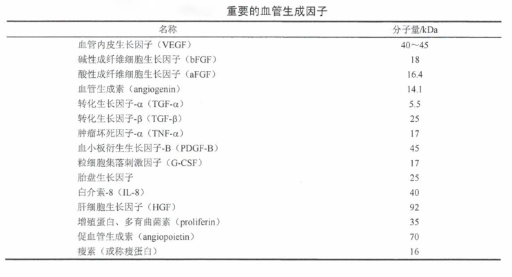 血管生成开关启动一个高度复杂的过程