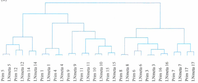 原发瘤和转移灶之间的基因表达谱基本相似