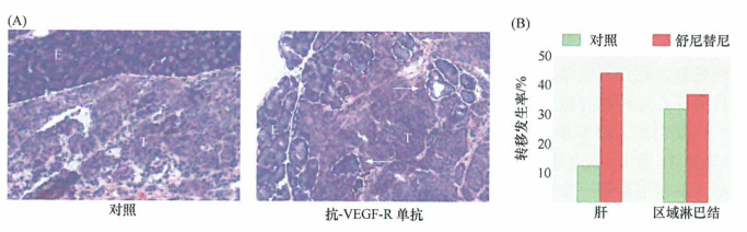 抑制血管生成治疗肿瘤中的非期望效果