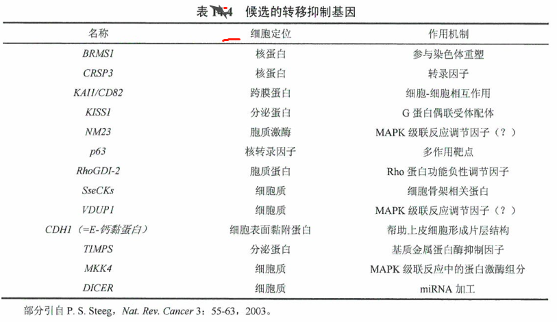 肿瘤细胞转移抑制基因参与调节转移表型