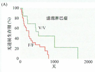 利妥昔单抗和B细胞肿瘤的治疗