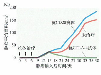 成功控制获得性免疫系统阻止肿瘤进展研究