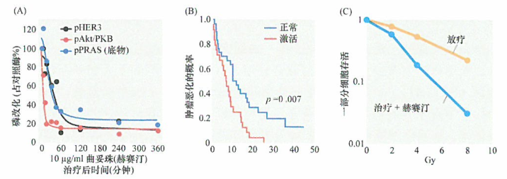 赫赛汀作用的生化机制​研究