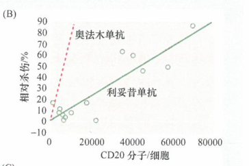 补体依赖的细胞毒性是许多单克隆抗体成功治疗肿瘤的关键吗？