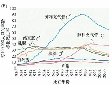 不同部位肿瘤的发展趋势研究，美国对各种肿瘤的年龄标化