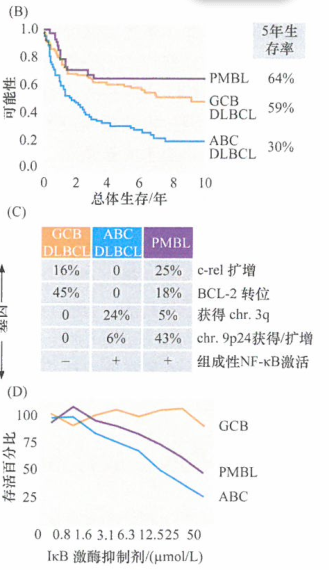 激光显微切割捕获技术的应用，对肿瘤样品进行亚类分层