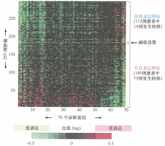 基因表达芯片对肿瘤进行精细分类