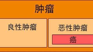 肿瘤分类方法的研究