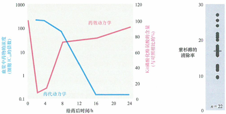 人类肿瘤的癌细胞系，分离出癌细胞体外培养的研究