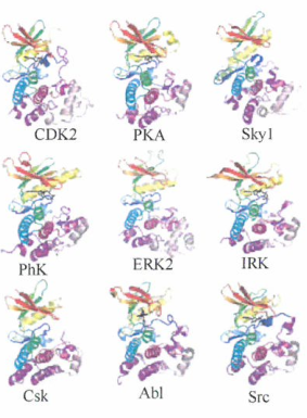 肿瘤内的潜在药物靶点的复杂性研究