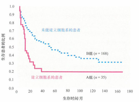 从肿瘤细胞系中繁殖用于​形成移植瘤的人类肿瘤细胞研究